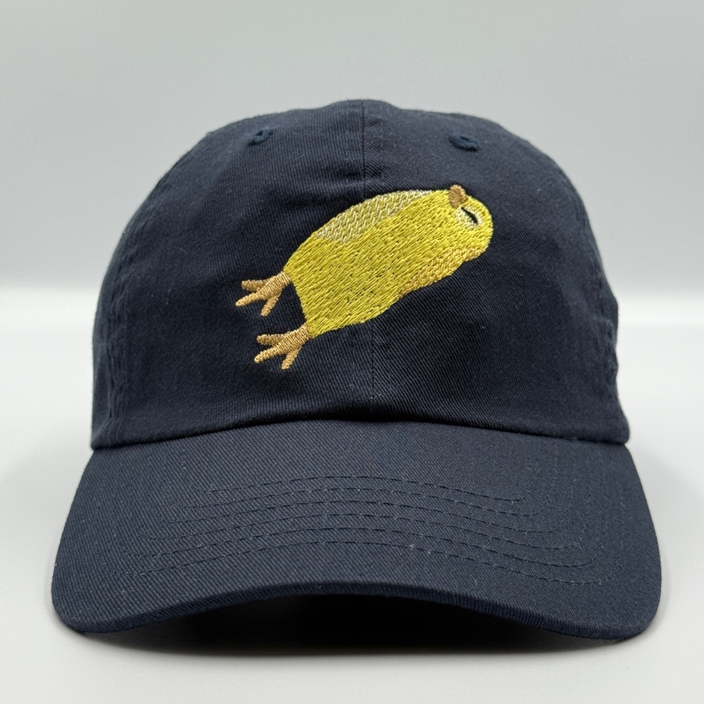 Navy Blue Embroidered Cap